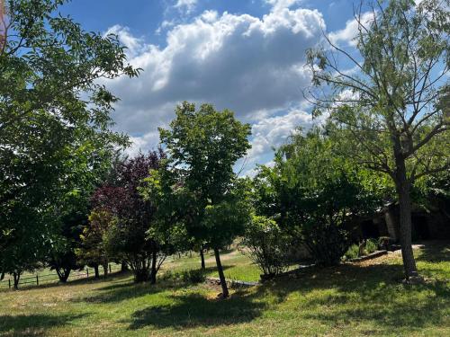 a group of trees in a field with a cloudy sky at El Ventador de la Torra in Lladurs
