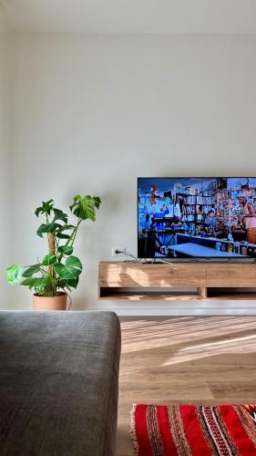 TOKAapartment2
