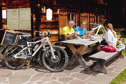 Hosté ubytování Chalets Almdorf Zillertal, Fügen