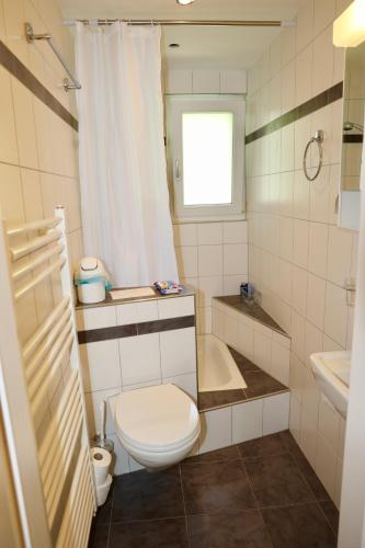 a bathroom with a toilet and a sink and a tub at Ferienwohnung Panoramablick in Nesslau