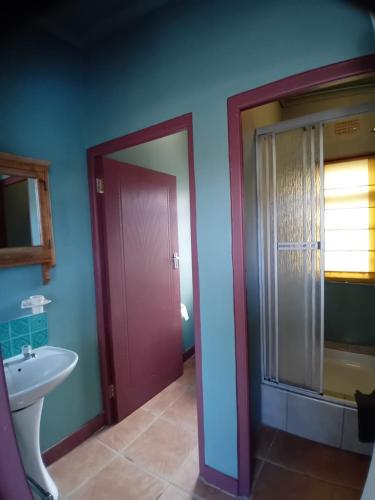 a bathroom with a red door and a sink at Greyton Toad Hall exclusive use up to 18 and by supplement up to 22 with massive pool and hot tub and sometimes we rent individual rooms in Greyton