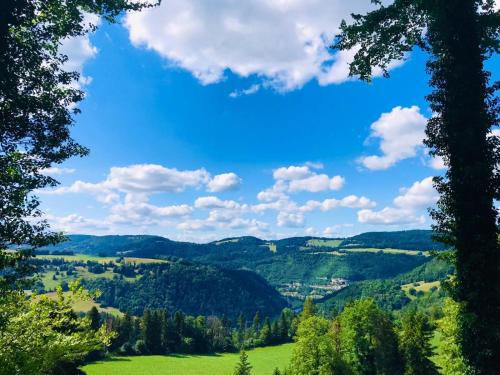 a view of a green valley with trees and a blue sky at ECO-CHALET Bel Oiseau - Saint-Ursanne in Saint-Ursanne