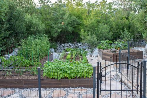 a garden with a bunch of plants in it at Villa Ilir in Neum
