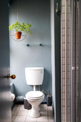 a bathroom with a toilet and two potted plants at Greyton Toad Hall exclusive use up to 18 and by supplement up to 22 with massive pool and hot tub and sometimes we rent individual rooms in Greyton
