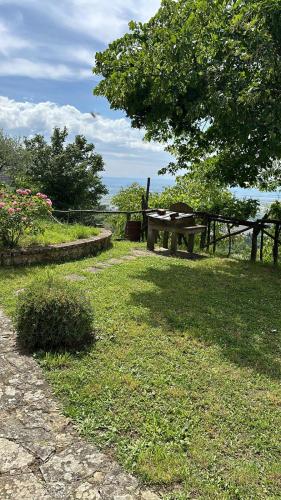 Foto Agriturismo Casa Paradiso 1