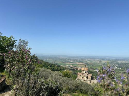 a view from the top of a hill with flowers at Agriturismo Casa Paradiso in Cortona