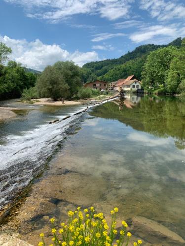 a river with some yellow flowers in the water at ECO-CHALET Bel Oiseau - Saint-Ursanne in Saint-Ursanne