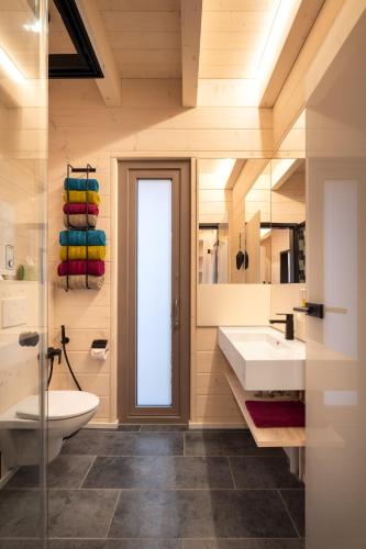 a bathroom with a sink and a toilet at Schwarzwalddeck Deckhäuser in Bad Herrenalb