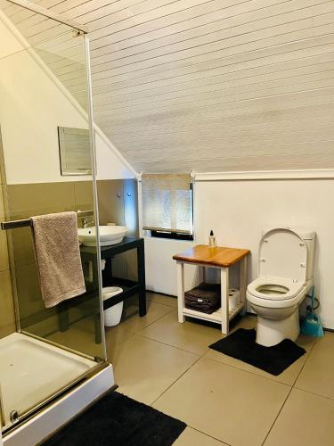 a bathroom with a toilet and a sink at Stoneridge farm in Plettenberg Bay
