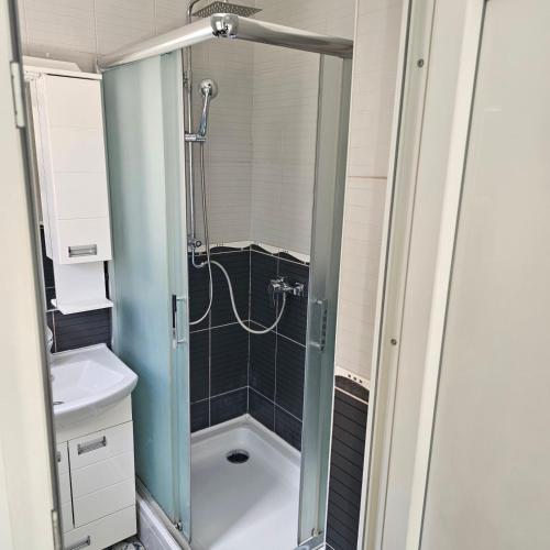 a bathroom with a shower with a toilet and a sink at Apartment Savanovic in Banja Luka