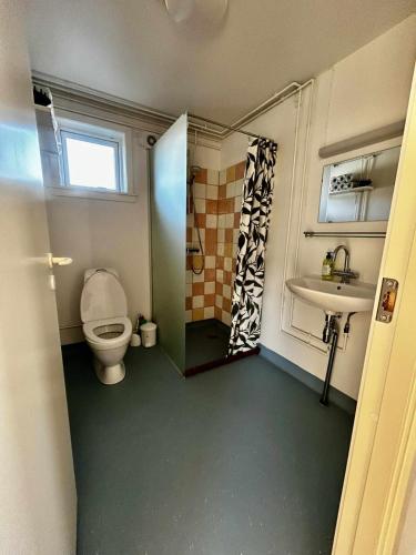 a bathroom with a toilet and a sink at Ilulissat Stay - Siku in Ilulissat