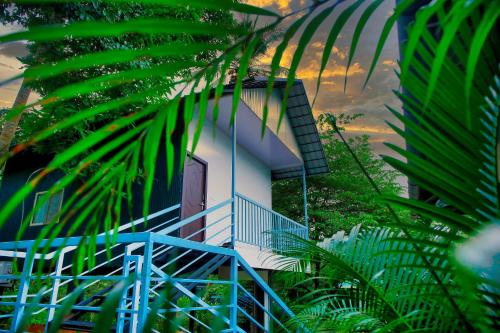 a house with blue stairs in the middle of a forest at Comfort Cove in Vythiri