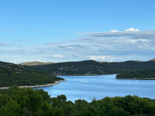 a view of a lake with trees and mountains at Rooms Perina Tisno in Tisno