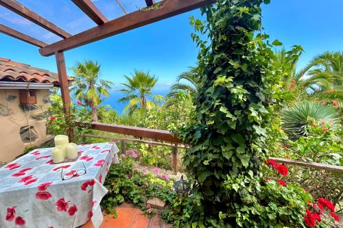 Finca Tenerife - Cozy Studio mit Traumblick & tropischem Garten