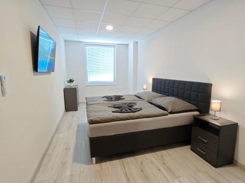 a bedroom with a large bed and a television at Hotel Slobi in Štúrovo
