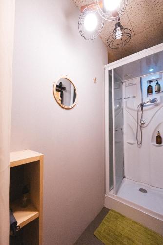 a bathroom with a shower and a mirror on the wall at guesthouse TANDEM in Matsumoto