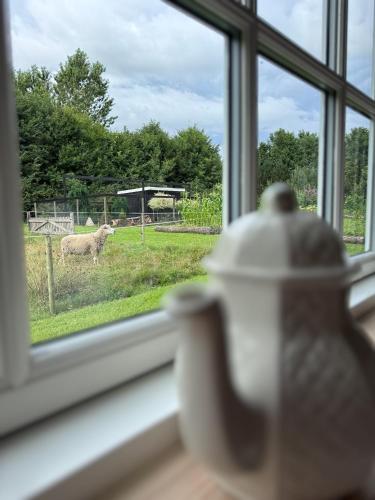 a window with a view of a sheep in a field at Pension Lærkelill in Skovlund