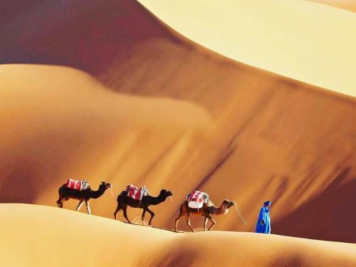 Galeriebild der Unterkunft Oracle Desert Camp in Merdani