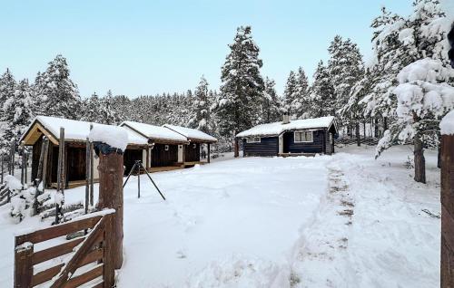 a group of cabins covered in snow at 4 Bedroom Stunning Home In Tynset in Tynset