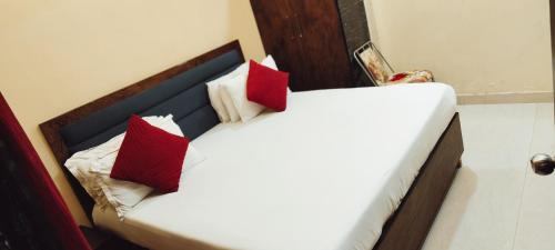 a bed with red pillows on it in a room at Hotel AL Taj , Agra in Agra