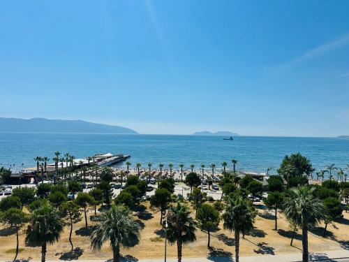 una vista aerea di una spiaggia con palme e l'oceano di Blue Escape Apartment Lungo Mare a Vlorë