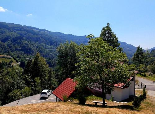 Bungalov Čuk