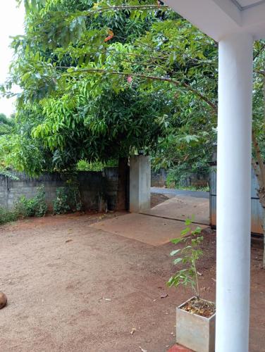 a large tree in a yard with a sidewalk at Alankulama Waana Resort in Anuradhapura