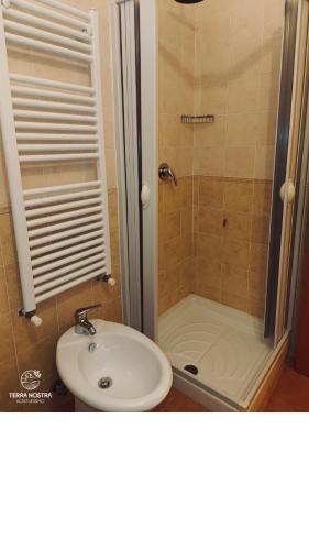 a bathroom with a shower and a white sink at Agriturismo Terra Nostra in San Mauro Cilento