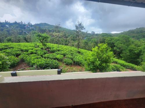 Paisaje cerca de esta habitación en casa particular