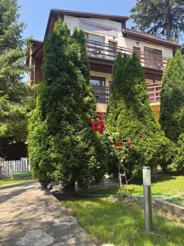 a group of trees in front of a building at Pensiunea Crescent Predeal in Predeal