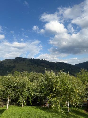 Φυσικό τοπίο κοντά σε αυτή η παραθεριστική κατοικία