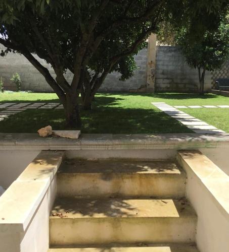 a group of stairs with a tree and grass at Palazzo Caputo in Nardò