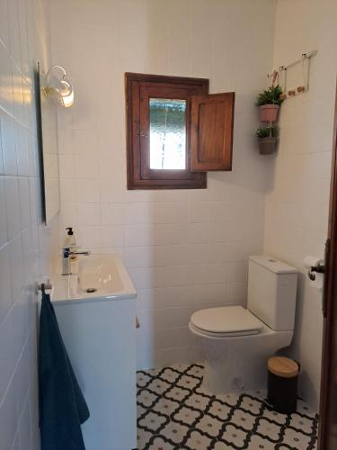 a bathroom with a toilet and a sink and a window at Buganvilla in Valencia