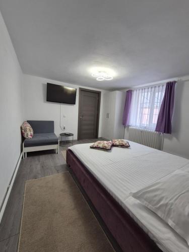 a bedroom with a large bed and a chair at Apartament Magnolia Nearby City Center With Parking in Sibiu