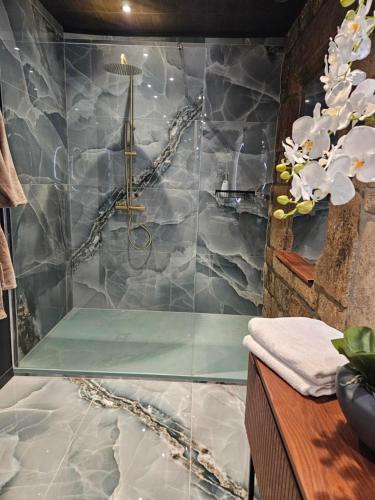 a bathroom with a shower with a glass wall at Les suites du Bouddha Bleu in Carnac