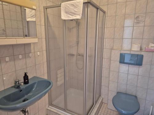 a bathroom with a shower and a sink and a toilet at Bio-Bauernhof Wilfling in Miesenbach