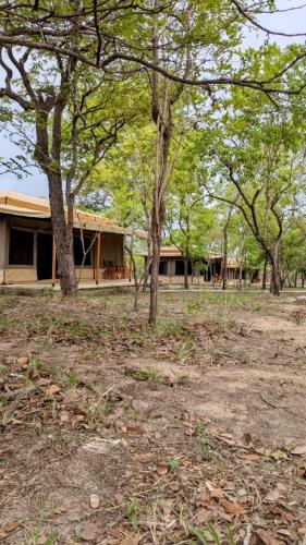 Double G safaris and Camp Mikumi