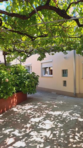 Apartment Kollmann - 50m from Arena, private courtyard