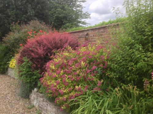 a garden with pink flowers next to a brick wall at The Greyhound - Historic former Inn in Glemsford