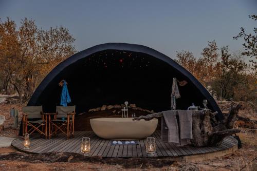 Φωτογραφία από το άλμπουμ του Garonga Safari σε Makalali Game Reserve