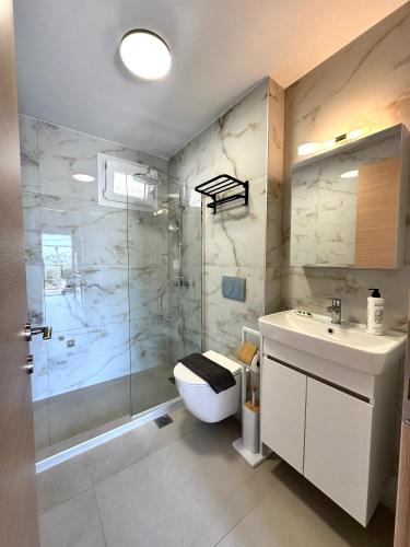 a bathroom with a shower and a toilet and a sink at Golden Beach Apartments in Chrysi Ammoudia
