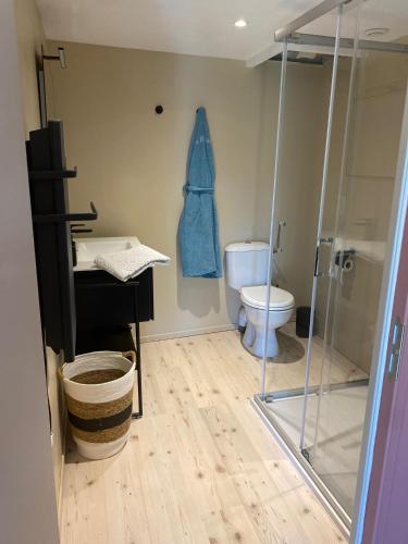 a bathroom with a shower and a toilet at La Belgastide chambre d'hôte in Quins