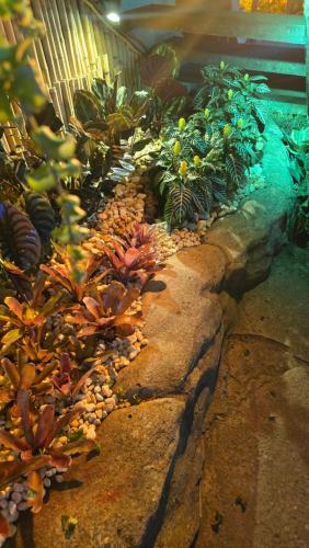 a garden with flowers and plants on a rock at Pousada Bon Vivant in Cabo Frio