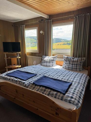 a bedroom with a bed with blue pillows and a window at Haus Hubertus in Willingen