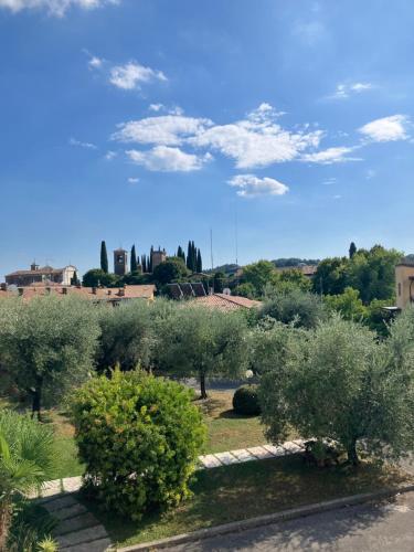 Elle offre une vue sur un jardin planté d'arbres et de buissons. dans l'établissement Apartment, à San Felice del Benaco
