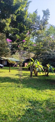 a field of grass with trees and pink flowers at YVYRA Hotel & Cabañas in La Porteña