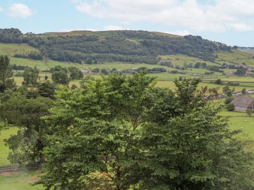 a tree in the foreground with a hill in the background at Millside View in Keighley