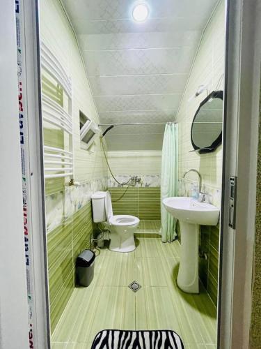 a bathroom with a toilet and a sink at cottage in tsemi (Borjomi) in Borjomi