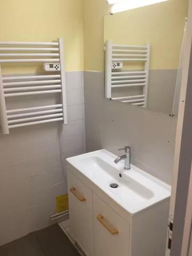a bathroom with a sink and a mirror at Cheroulier in Laujuzan