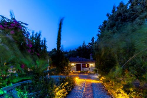 Taman di luar guesthouse by west